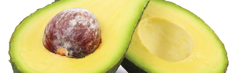 nutricao 4 artigo